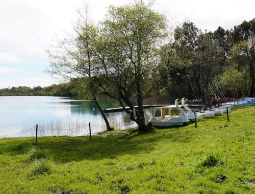 Association Nautique Arjuzannaise