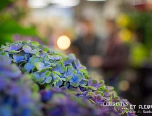 Au Jardin Fleuri – Fleuriste à Bessan