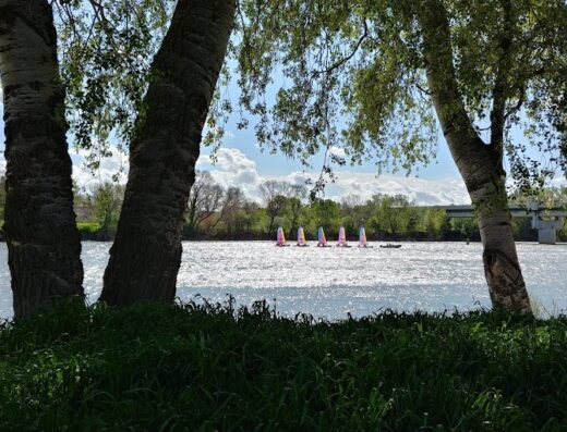 Aviron Beaucaire