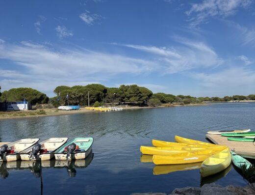 Aviron Club du Ponant ( La Grande-Motte)