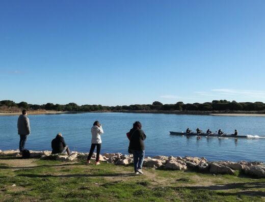 Aviron Club du Ponant ( La Grande-Motte)