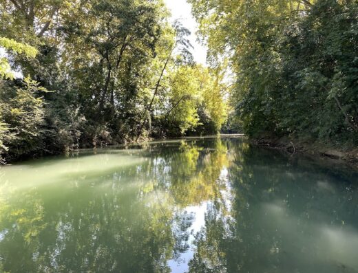 Base Nautique de Lavalette-Agropolis
