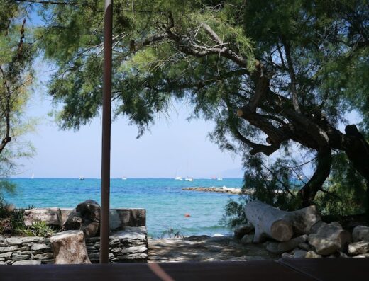 C.E.S.M. Saint-Florent – Centre d’Études Sous-Marines