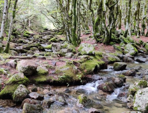 Cascades d’Orgon