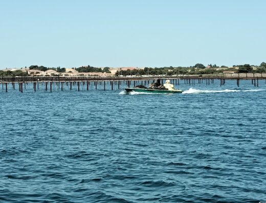 catamaran de promenade MANSATHAU