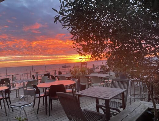 Chez Guillaume Degustation d’huitres