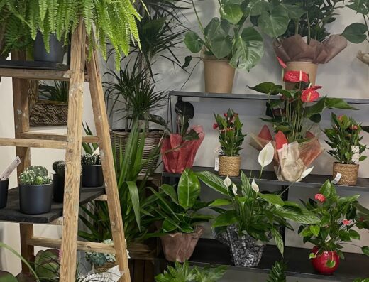 Côté Fleurs, Artisan Fleuriste Agde