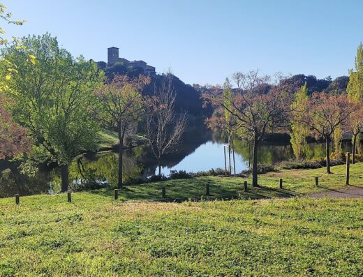 Domaine des Olivettes