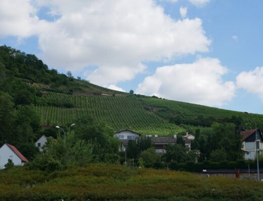 Domaine Xavier Muller