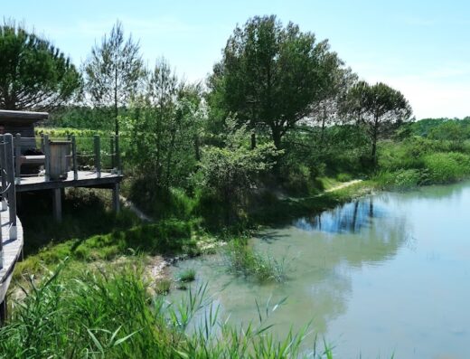 Etang ludique de Junas