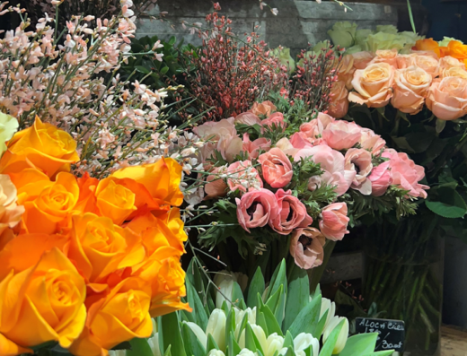 Fleurs et Sens