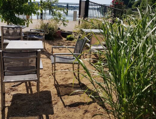 Guinguette l’eau à la bouche