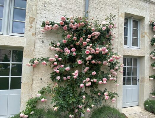 Hôtel Collège des Doctrinaires****