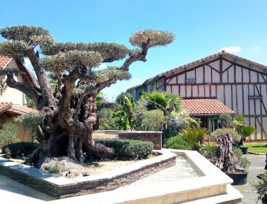 Hôtel Minvielle Les Oliviers