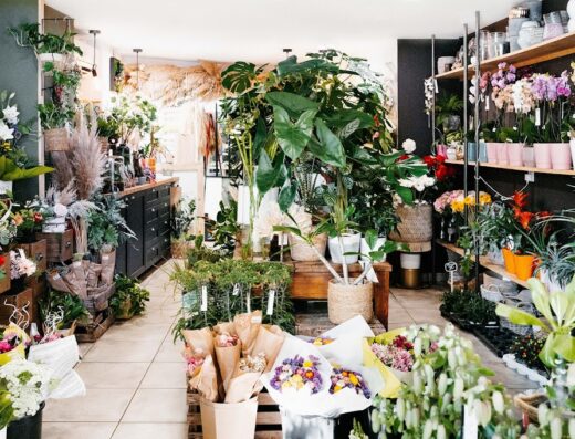 Jocy Fleurs – Marseillan