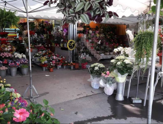 LA LOGE AUX FLEURS