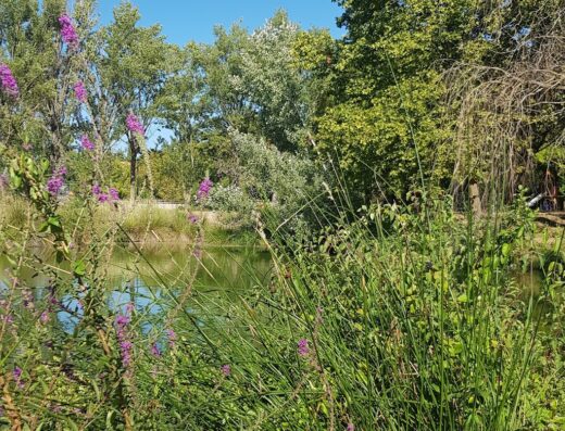 Lac Du Pigou