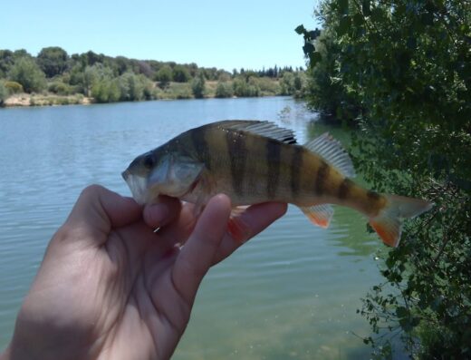 Lac Sautebraut
