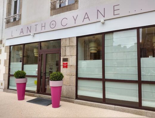 L’Anthocyane
