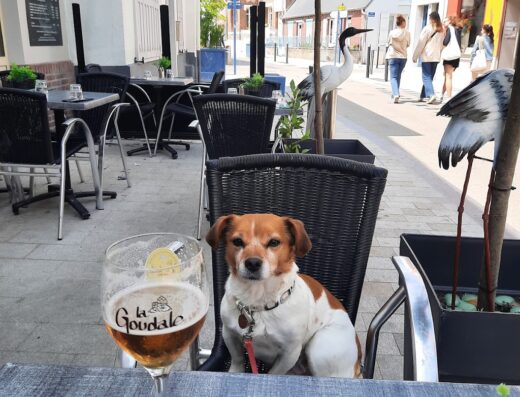 Le Bistrot de la Baie