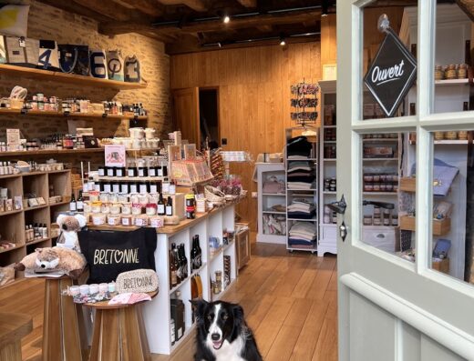 Les Découvertes d’Alex (Maison de la Truie qui File)