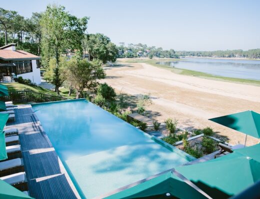 Les Hortensias du Lac