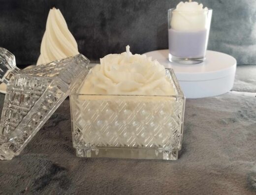 Les souvenirs d’Élodie