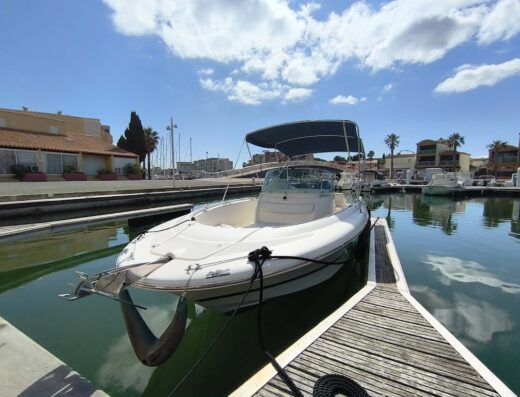 Location bateaux à moteur Le Nautil-Boat