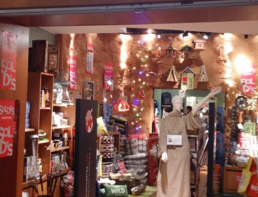 Nature & Découvertes de Noisy le Grand