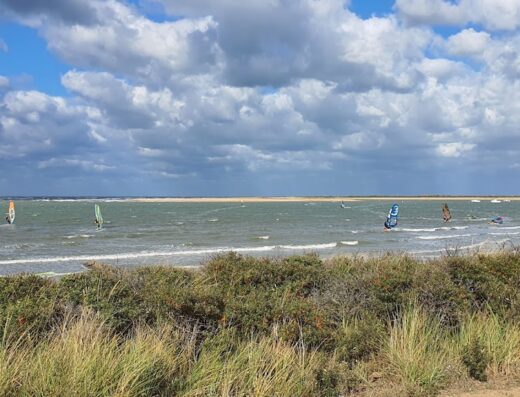 OCEAN – Ecole d’activités nautiques