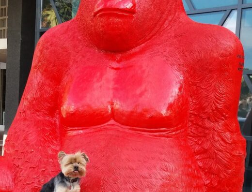 Office de Tourisme de La Grande Motte