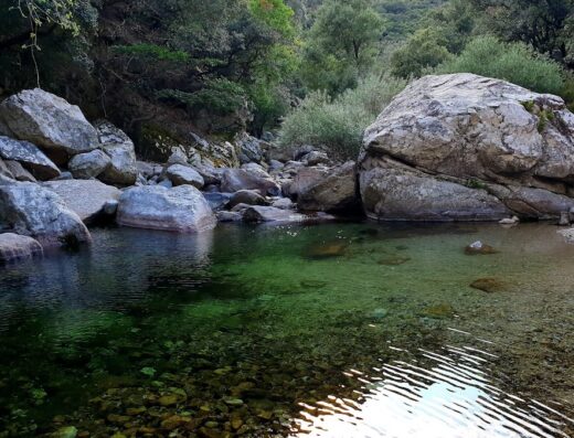 Office de Tourisme – Maison des Montagnes du Caroux