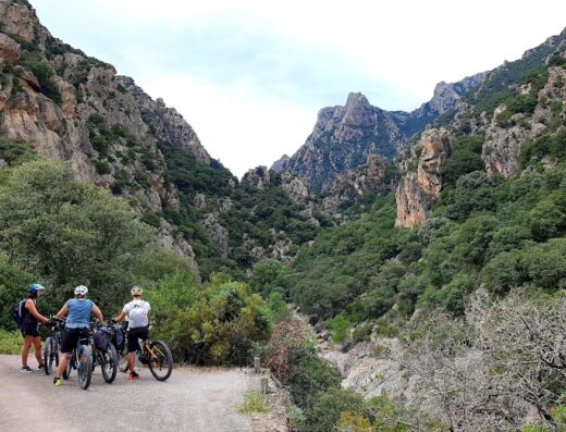 Office de Tourisme – Maison des Montagnes du Caroux