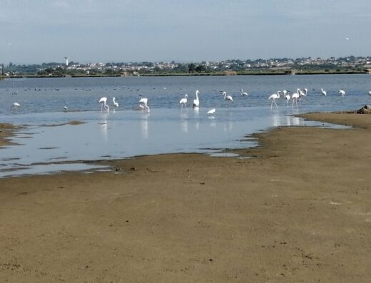 Plage de la Grande Maïre