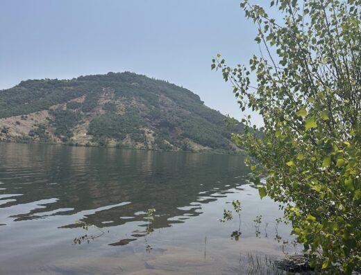 Plage d’Octon – Lac du Salagou