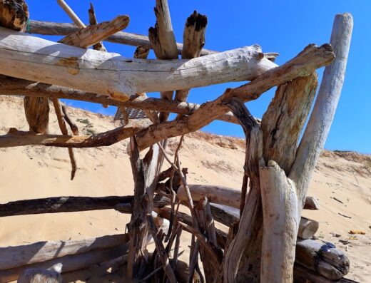 Plage naturiste des casernes