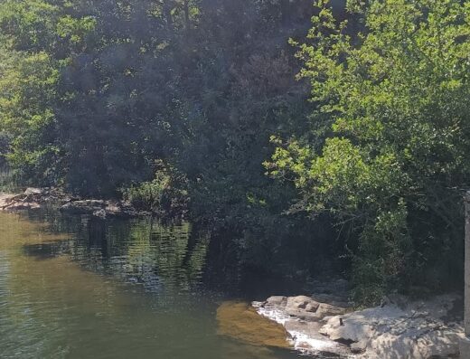 Plan d’eau de la Roque et de st Jean du Bruel