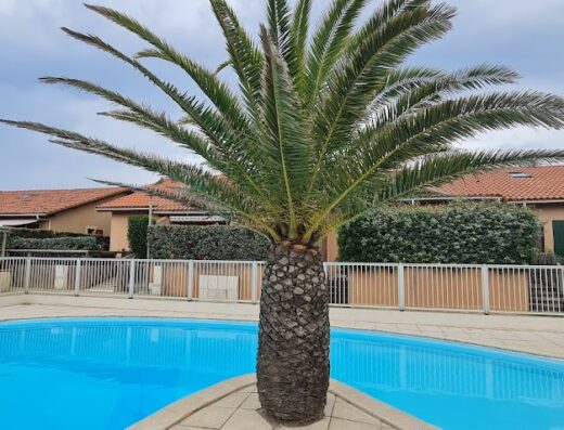 Résidences Plage sud