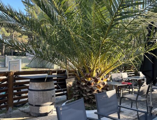 Restaurant côté Ferret