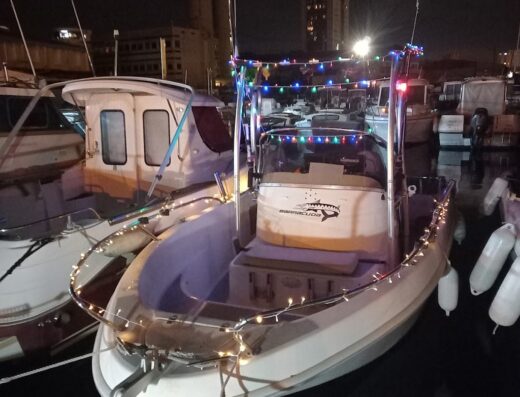 Societe Nautique de Port de Bouc