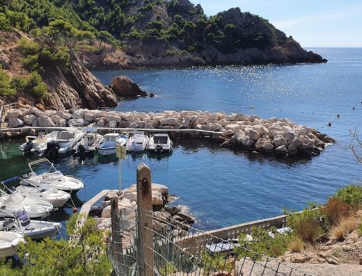 Société Nautique Les Figuières