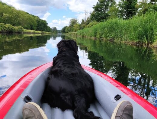 Sport Nautique Langonnais