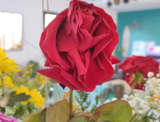 Symphonie Florale