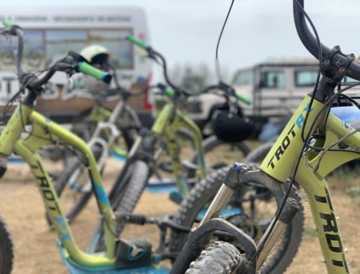 Trott Camargue – Maximus Organisation