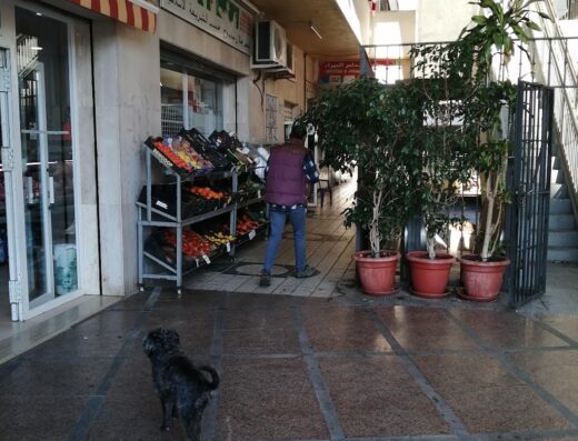 Centro comercial Entreplazas