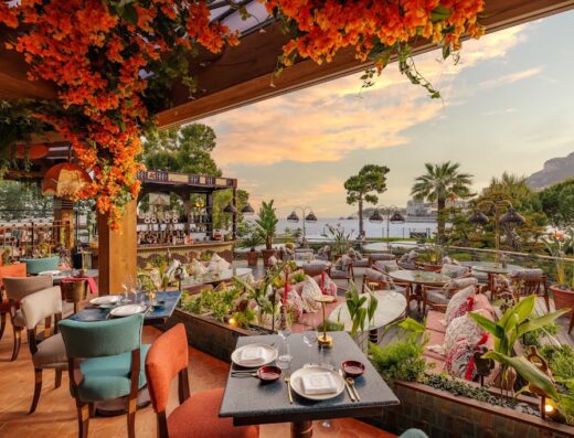 COYA Monte-Carlo