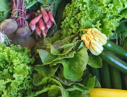 Biopop – Fruits et légumes bio