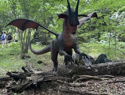 Dragon Ride à Vulcania