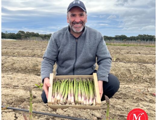 FRED PRODUCTEUR Fruits et légumes