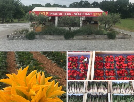 FRED PRODUCTEUR, Producteur Fruits Et Légumes. Vente Directe